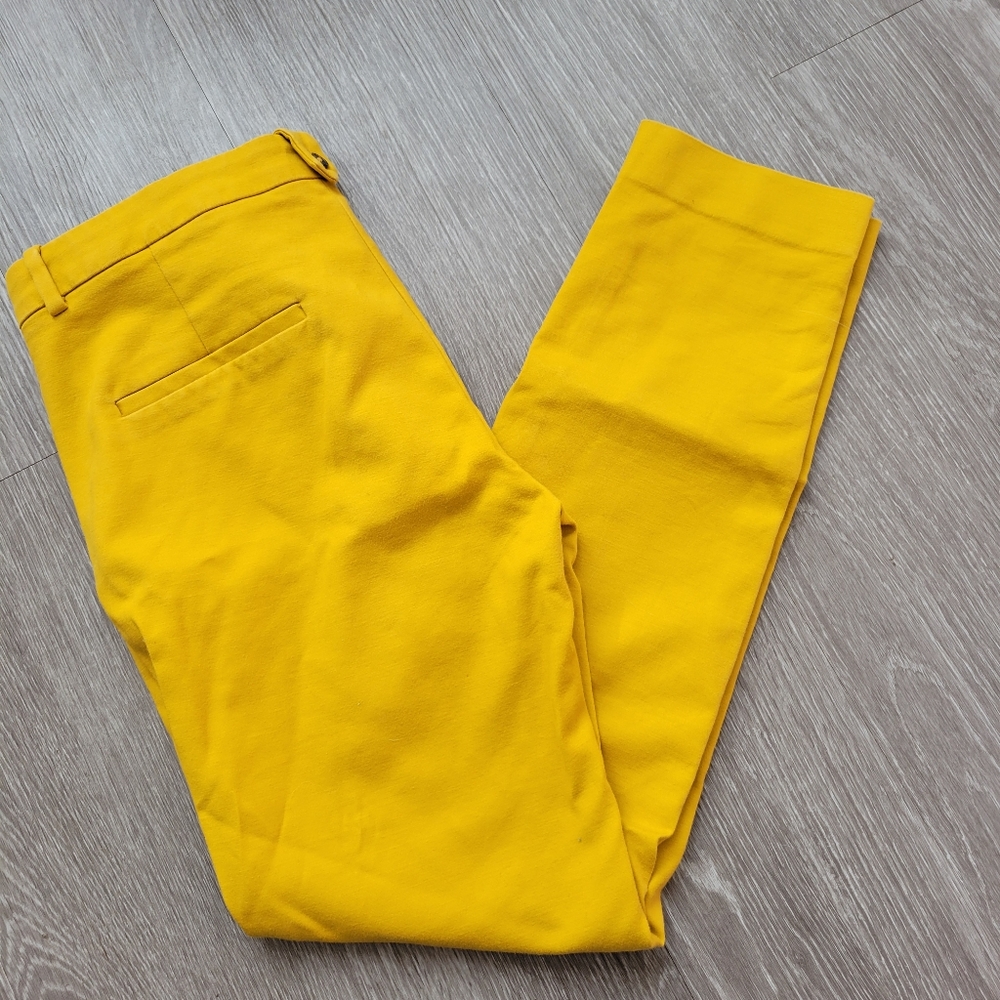 Zara Basic Pants
